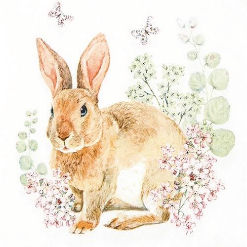 Rosi Rabbit