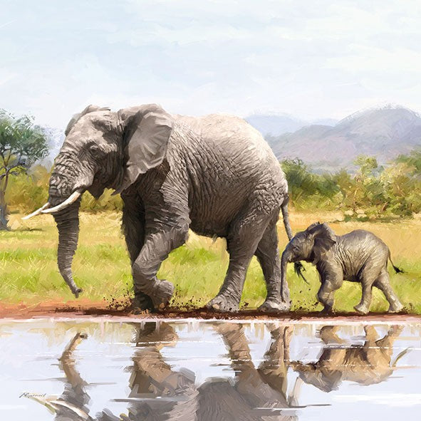 Elefantenfamilie am Wasser