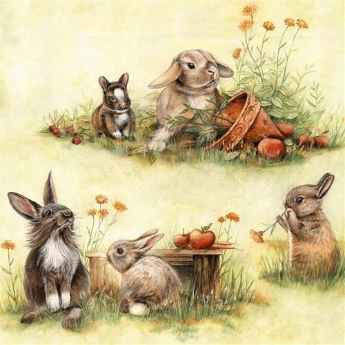 Cute Rabbits - Niedliche Hasen