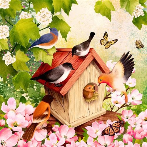 Bird House - Busy bird house