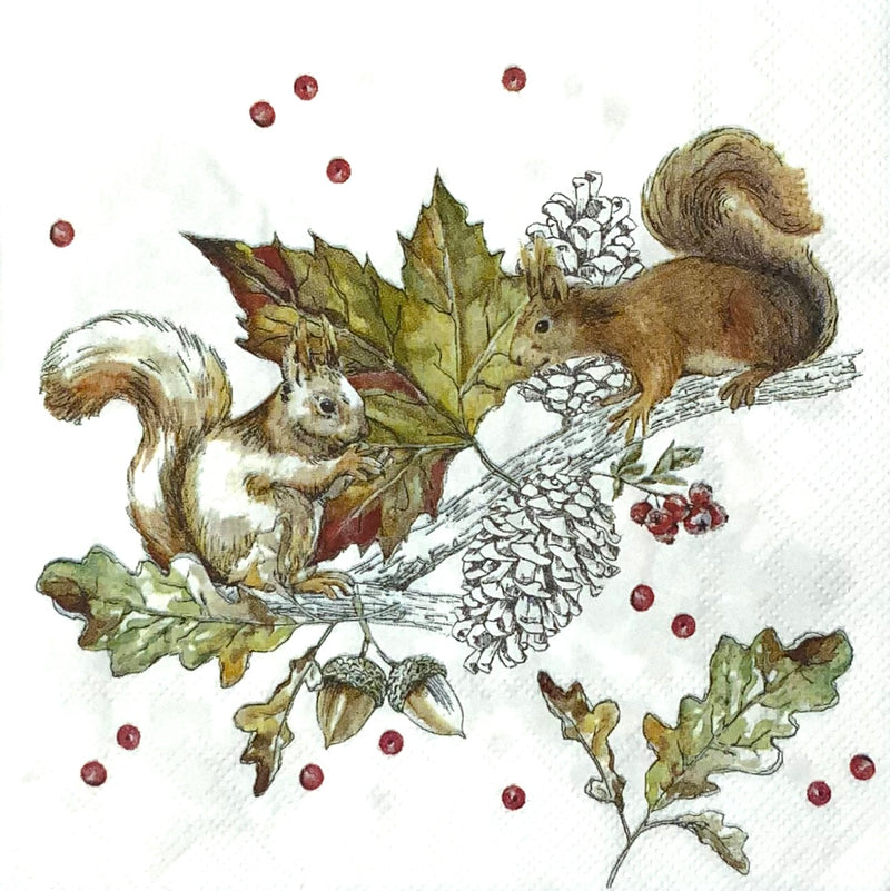 Squirrels and Berries - Eichhörnchen mit Beeren