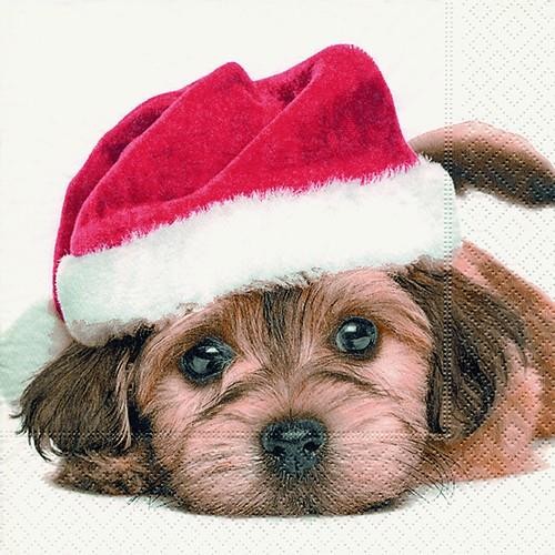 Santa Dog - Niedlicher Weihnachtshund