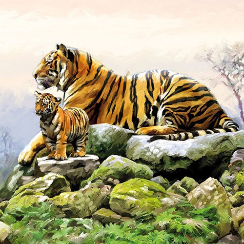 Familia de tigres en las rocas