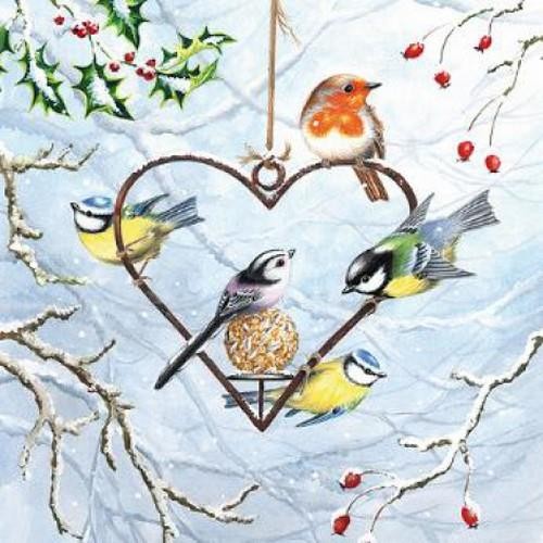 Comedero en forma de corazón - pájaros de invierno en el corazón