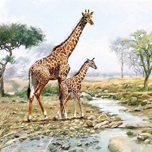 Giraffenfamilie am Fluss