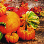 Pumpkins - pumpkins