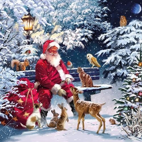 Santa Claus with deer