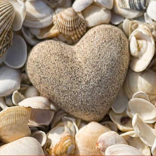 Heart on shells