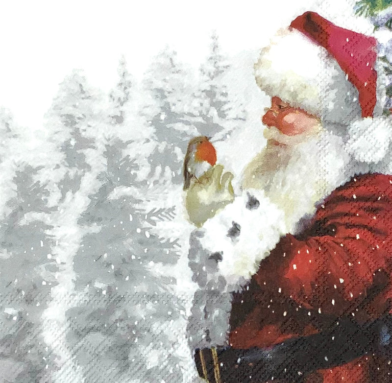 Papá Noel con pajaritos