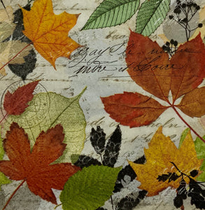 Colorful leaves