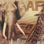 Collage de África
