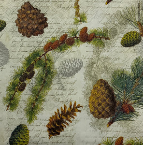 pinecone