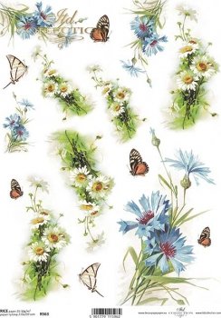 Gänseblümchen mit Schmetterlinge