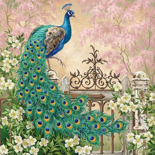 Pfau in voller Eleganz - Noble Peacock
