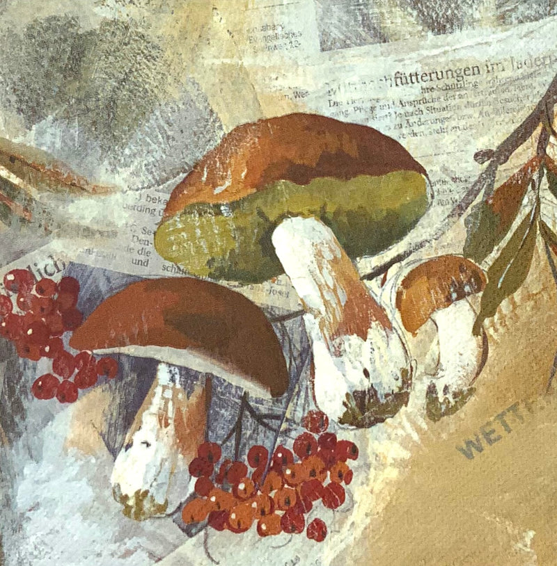 Polcino - mushrooms