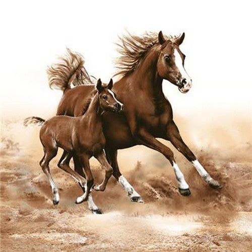 Pferde im Galopp - Mare with Foal