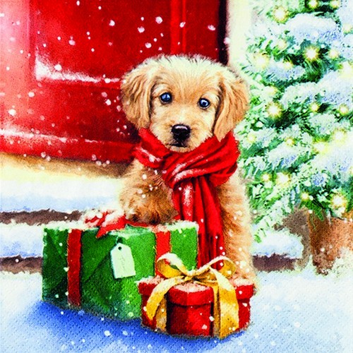 Cachorro pequeño - perro con regalo de Navidad