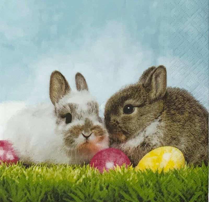 Best Friends bunny friends