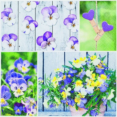 Collage von Stiefmütterchen - Pansy Mix