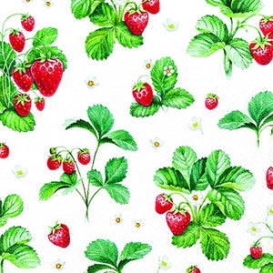 Patrón de fresa - Patrón sobre fresas