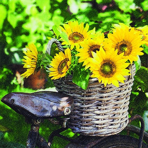 Sunflowers in the basket - Sunny Flower