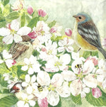 Birds and Blossom - Birds with flowers