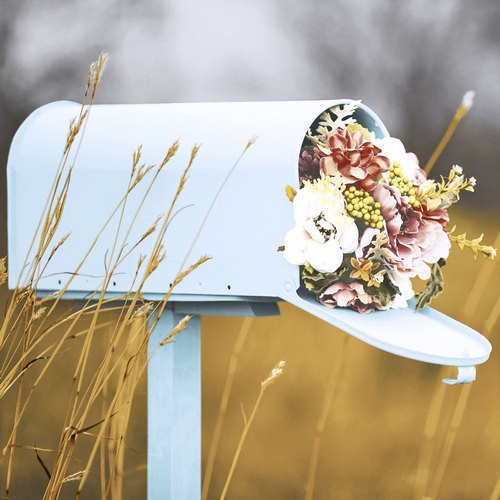 Flowers in the mailbox - For You