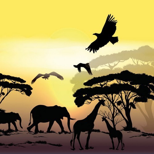 African animals at sunset - Africa Safari