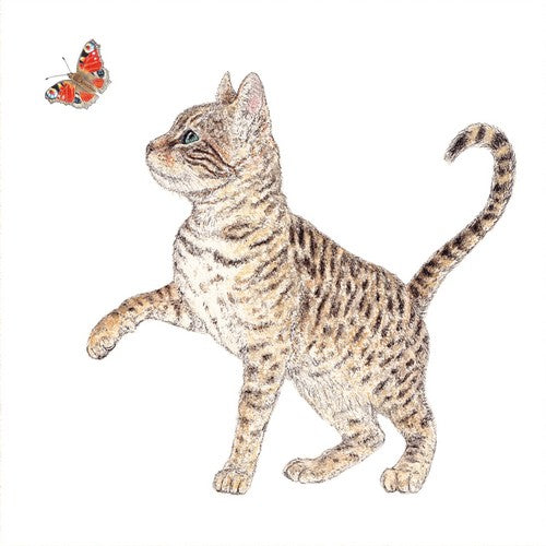 Celine - Katze mit Schmetterling