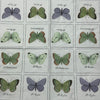 Bunte Schmetterlinge Vintage Sagen Design