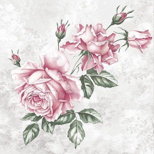 Rosas Vintage - Hermosa rosa