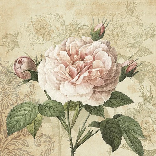 Vintage Rose with Buds - Vintage Rose an Ornamente