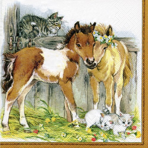 Pferde und Katzte im Hof - Kitten & Foals in Stable