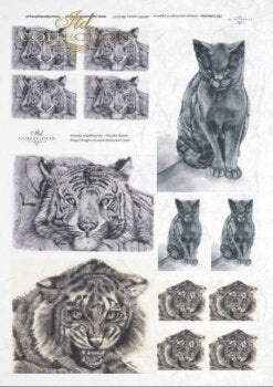 Artista tigre/gato Klaudia Bezak