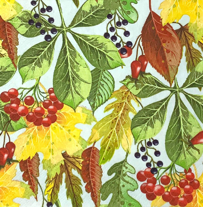 Rowanberry and forest leaves