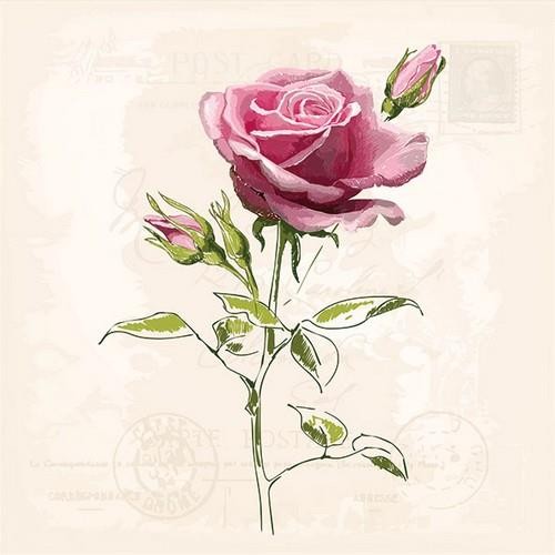 Vintage Rose