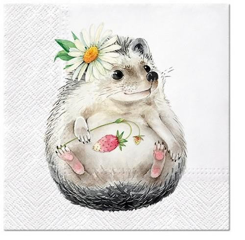 Hedgehog