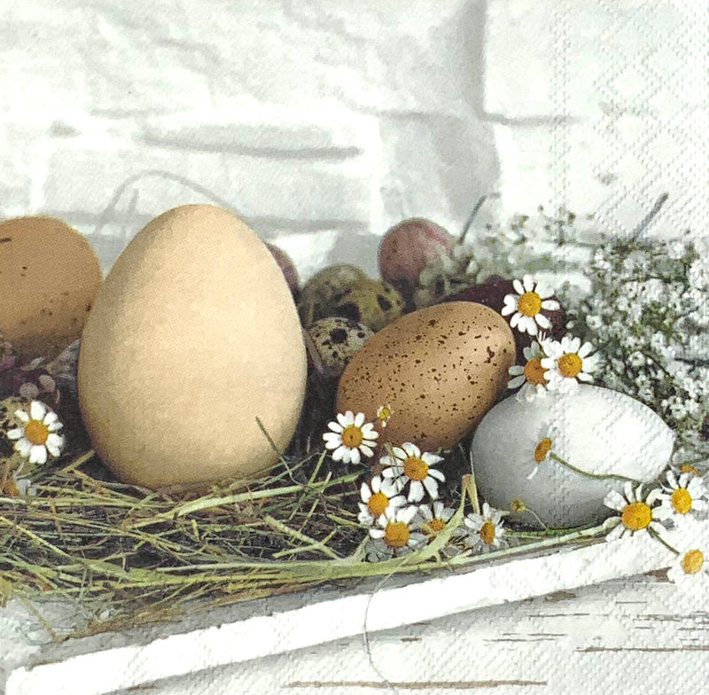 Pastel Eggs