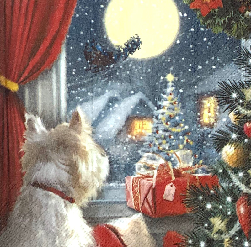 Dog Is Waiting For Christmas