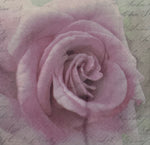 Vintage Rose von Vintage Sagen Design