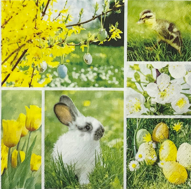 Collage de Pascua Collage de Pascua