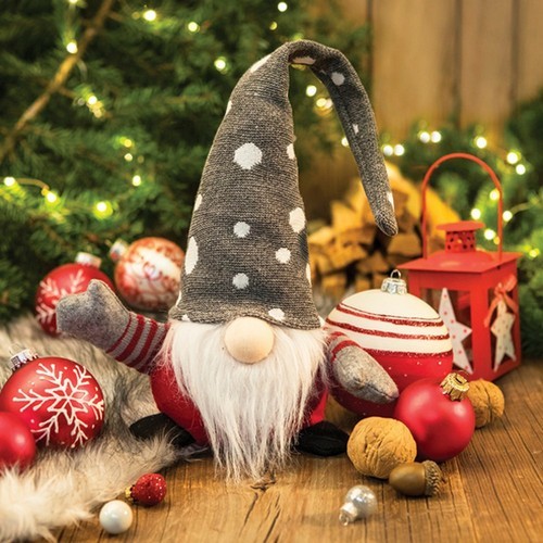 Wichtel - Nordic Gnome in Cozy Home