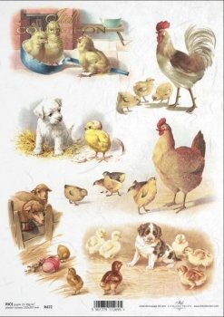 Puppies and chicks