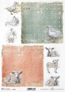 Lamb and geese