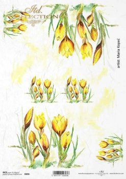 Tulipanes amarillos Artista Maria Kopec