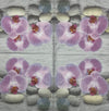 Orchid with stones