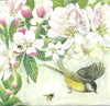 Birds and Blossom - Pájaros con flores