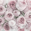 Vintage Saying Design Vintage Rose Bouquet