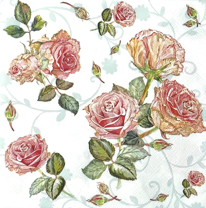 Rosa Vintage Rosen