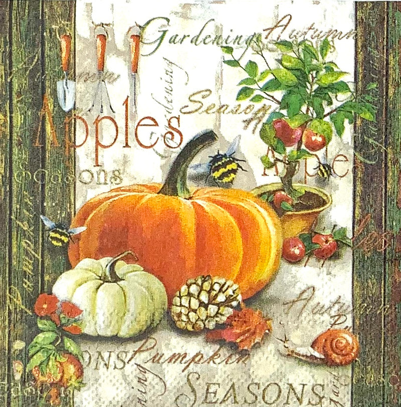 Pumpkin with apple tree